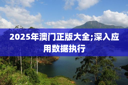 2025年澳門正版大全;深入應(yīng)用數(shù)據(jù)執(zhí)行液壓動力機(jī)械,元件制造