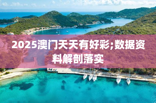 2025澳門天天有好彩;數(shù)據(jù)資料解剖落實