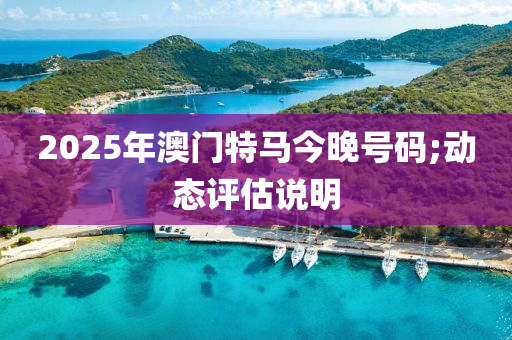 2025年澳門特馬今晚號碼;動(dòng)態(tài)評估說明