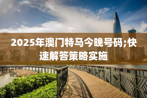 2025年澳門特馬今晚號碼;快速解答策略實(shí)施