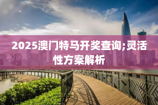 2025澳門特馬開獎查詢;靈活性方案解析液壓動力機(jī)械,元件制造