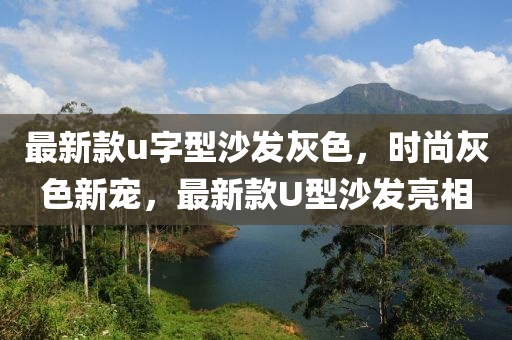 最新款u字型沙發(fā)灰色，時尚灰色新寵，最新款U型沙發(fā)亮相液壓動力機械,元件制造