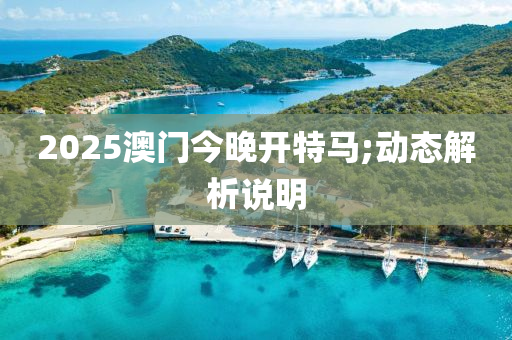 2025澳液壓動力機(jī)械,元件制造門今晚開特馬;動態(tài)解析說明