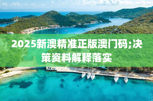 2025新澳精準正版澳門碼;液壓動力機械,元件制造決策資料解釋落實