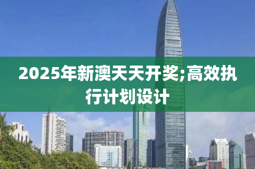 2025年新澳天天開獎;高效執(zhí)行計劃設(shè)計