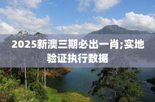 2025新澳三期必出一肖;實(shí)液壓動(dòng)力機(jī)械,元件制造地驗(yàn)證執(zhí)行數(shù)據(jù)