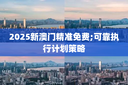 2025新澳門精準(zhǔn)免費;可靠執(zhí)行計劃策略