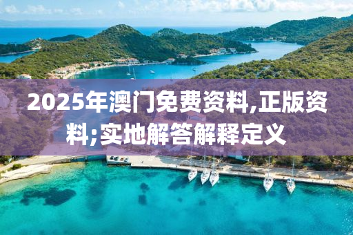 2025年澳門免費資料,正版資料;實地解答解釋定義