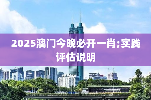 2025澳門今晚必開一肖;實踐評估說明