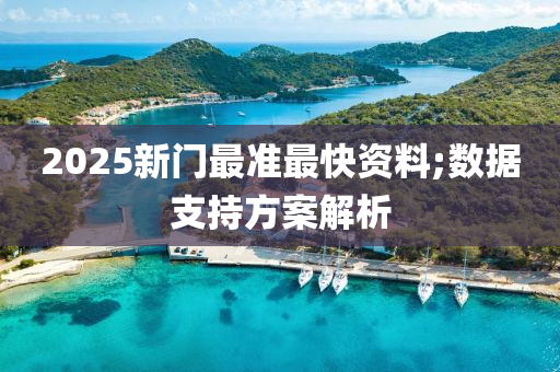 2025新門最準(zhǔn)最快資料;數(shù)據(jù)支持方案解析液壓動力機(jī)械,元件制造