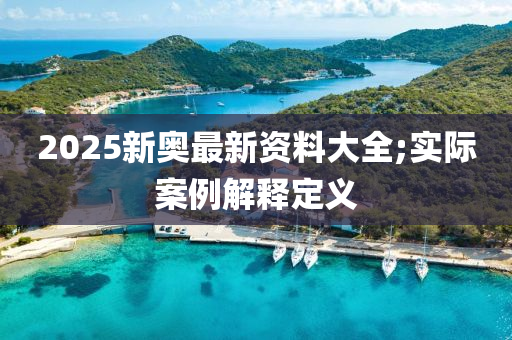 2025新奧最新資料大全;實際案例解釋定義