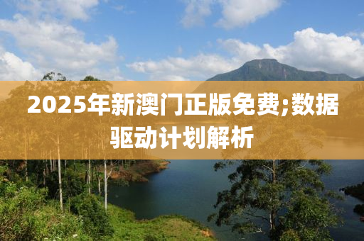 2025年新澳門正版免費;數(shù)據(jù)驅(qū)動計劃解析