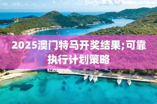 2025澳門特馬開獎結(jié)果;可靠執(zhí)行計劃策液壓動力機械,元件制造略