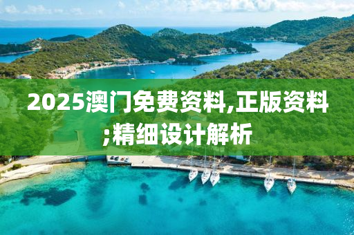 2025澳門免費資料,正版資料;精細設計解析