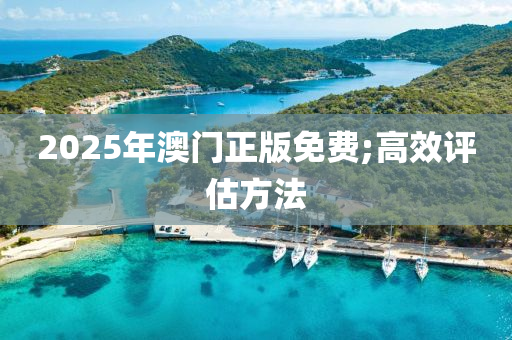 2025年澳門正版免費(fèi);高效評估方法