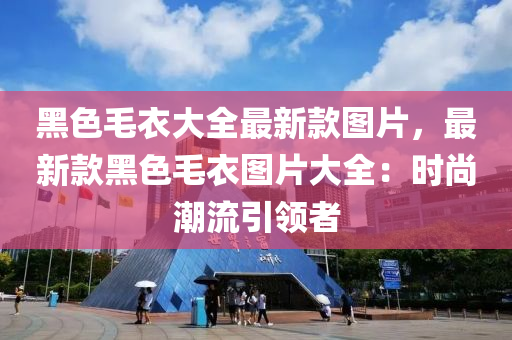 黑色毛衣大全最新款圖片，最新款黑色毛衣圖片大全：時尚潮流引領者液壓動力機械,元件制造