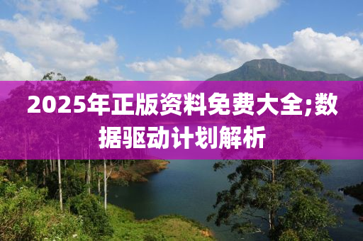 2025年正版資料免費大全;數據驅動計劃解析