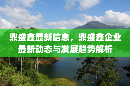 鼎盛鑫最新信息，鼎液壓動力機械,元件制造盛鑫企業(yè)最新動態(tài)與發(fā)展趨勢解析