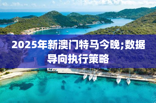 2025年新澳門特馬今晚;數據導向執(zhí)行策液壓動力機械,元件制造略