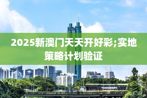 2025新澳門天天開好彩;實地策略計劃驗證