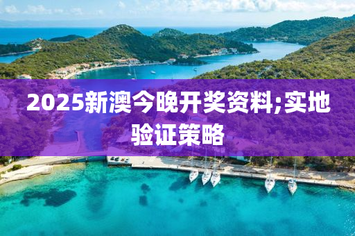 2025新澳今晚開獎資料液壓動力機械,元件制造;實地驗證策略