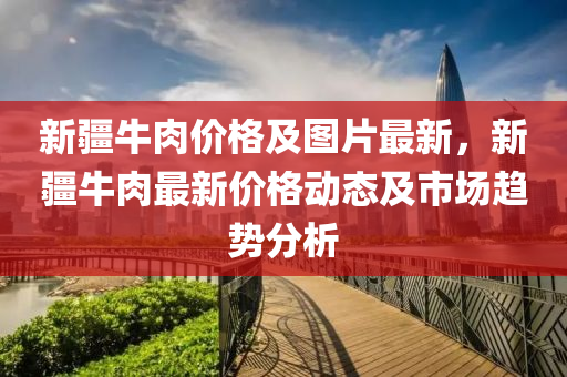 新疆牛肉價格及圖片最新，新疆牛肉最新價液壓動力機械,元件制造格動態(tài)及市場趨勢分析