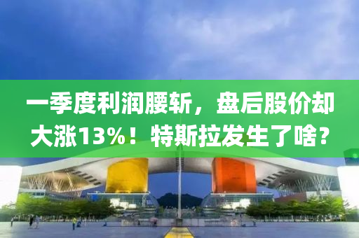 一季度利潤腰斬，盤后股價卻大漲13%！特斯拉發(fā)生了啥？液壓動力機械,元件制造