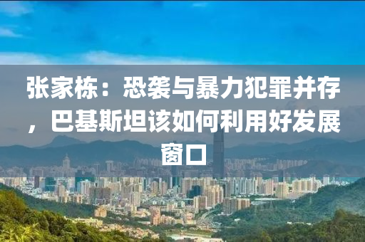 張家棟：恐襲與暴力犯罪并存，巴基斯坦該如何利用好發(fā)展窗口