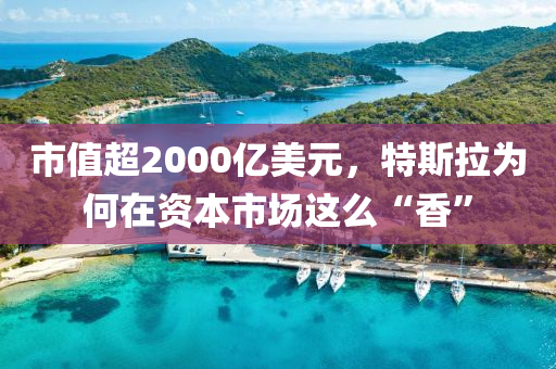 市值超2000億美元，特斯拉為何在資本市場這么“香”