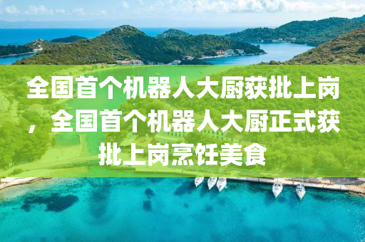 全國首個機器人大廚獲批上崗，全國首個機器人大廚正式獲批上崗烹飪美食