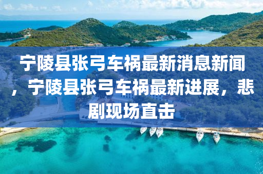 寧陵縣張弓車禍最新消息新聞，寧陵縣張弓車禍最新進(jìn)展，悲劇現(xiàn)場直擊