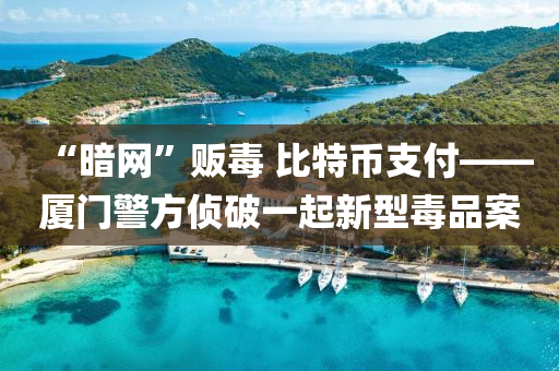 “暗網(wǎng)”販毒 比特幣支付——廈門警方偵破一起新型毒品案