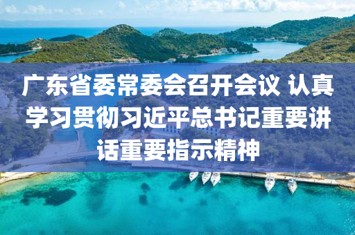 廣東省委常委會召開會議 認(rèn)真學(xué)習(xí)貫徹習(xí)近平總書記重要講話重要指示精神