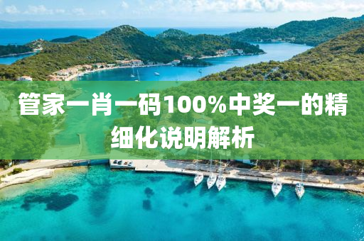 管家一肖一碼100%中獎一的精細(xì)化說明解析