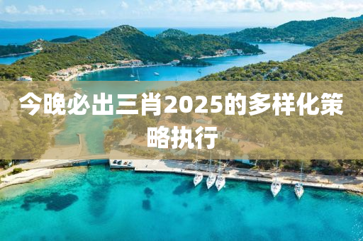 今晚必出三肖2025的多樣化策略執(zhí)行