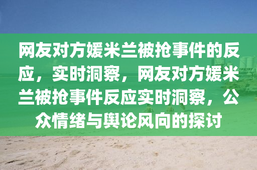 網友對方媛米蘭被搶事件的反應，實時洞察，網友對方媛米蘭被搶事件反應實時洞察，公眾情緒與輿論風向的探討液壓動力機械,元件制造