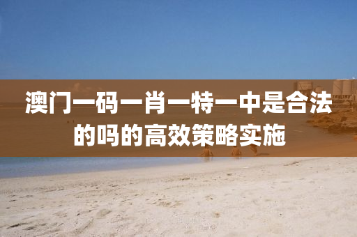 澳門一碼一肖一特一中是合法的嗎的高效策略實施液壓動力機械,元件制造