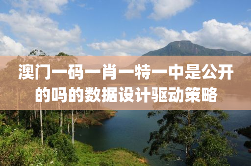 澳門一碼一肖一特一中是公開的嗎的數(shù)據(jù)設計驅(qū)動策略