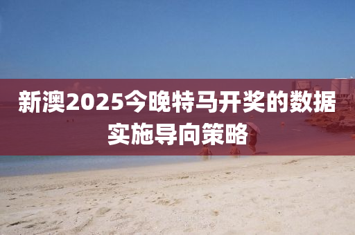 新澳2025今晚特馬開獎(jiǎng)的數(shù)據(jù)實(shí)施導(dǎo)向策略