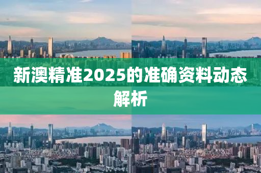 新澳精準2025的準確資料動態(tài)解析液壓動力機械,元件制造