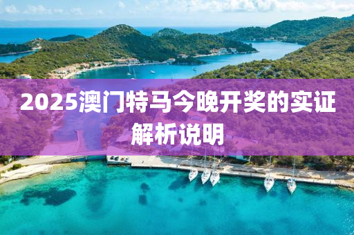 202液壓動力機械,元件制造5澳門特馬今晚開獎的實證解析說明