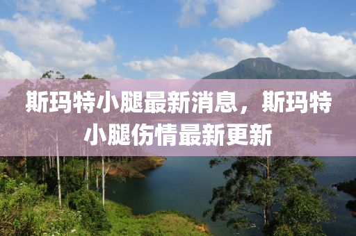 斯瑪特小液壓動力機械,元件制造腿最新消息，斯瑪特小腿傷情最新更新