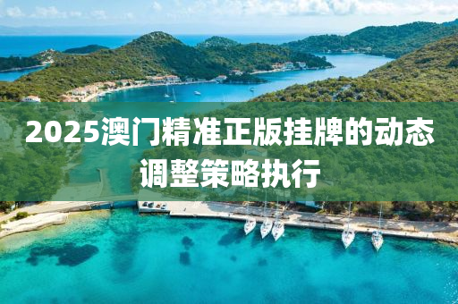 2025澳門精準正版掛牌的動態(tài)調整策液壓動力機械,元件制造略執(zhí)行