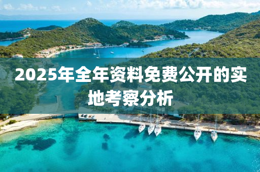 2025年全年資料免費(fèi)公開的實(shí)地考察分析液壓動(dòng)力機(jī)械,元件制造