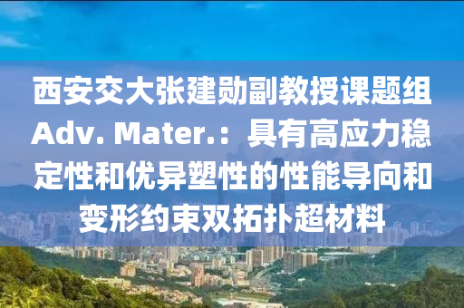 西安交大張建勛副教授課題組Adv. Mater.：具有高應力穩(wěn)定性和優(yōu)異塑性的性能導向和變形約束雙拓撲液壓動力機械,元件制造超材料