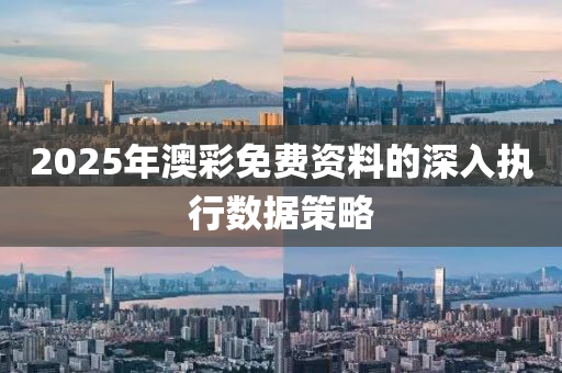 2025年澳彩免費資料的深入執(zhí)行數(shù)據策略