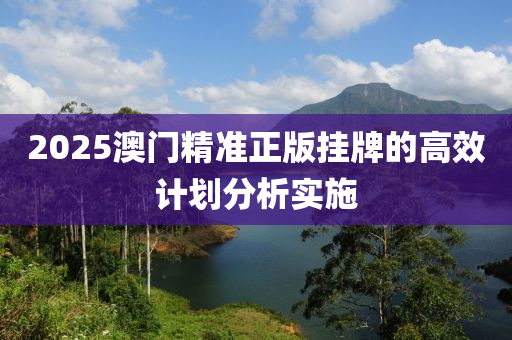 2025液壓動力機械,元件制造澳門精準正版掛牌的高效計劃分析實施