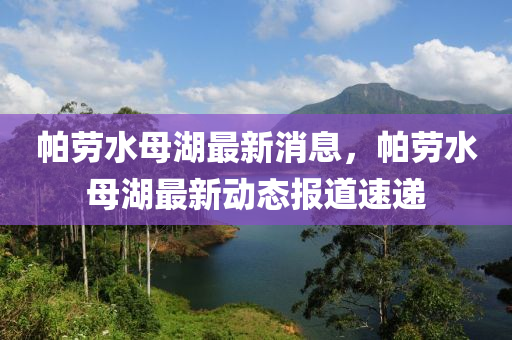 帕勞水母湖最新消息，帕勞水母湖最新動態(tài)報道速遞液壓動力機械,元件制造