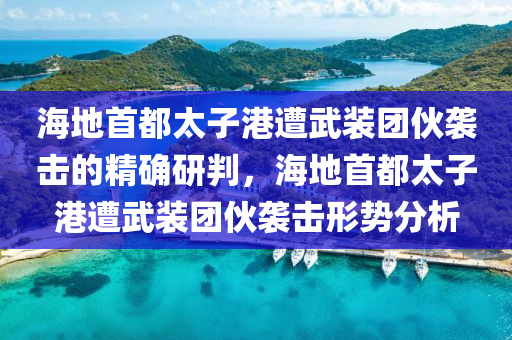 海地首都太子港遭武裝團伙襲擊的精確研判，海地首都太子港遭武裝團伙襲擊形勢分析液壓動力機械,元件制造