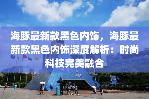 海豚最新款黑色內(nèi)飾液壓動力機械,元件制造，海豚最新款黑色內(nèi)飾深度解析：時尚科技完美融合